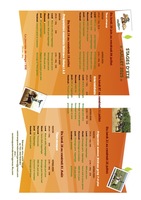 programme été 2025